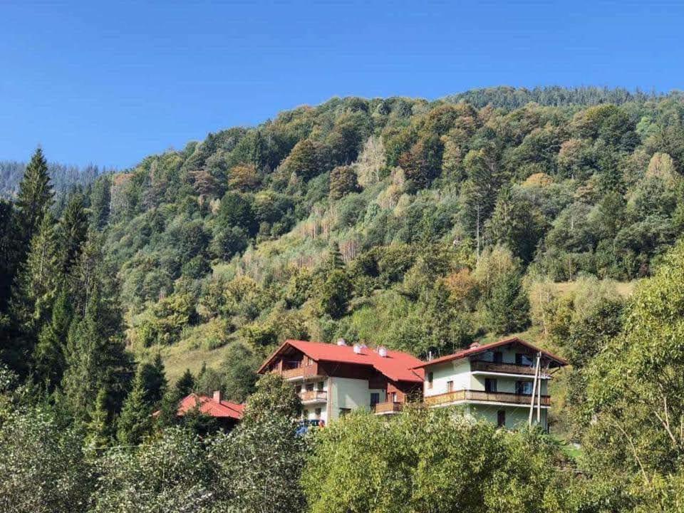 Лісова Казка Ξενοδοχείο Slavske Εξωτερικό φωτογραφία
